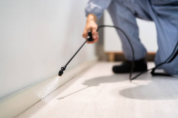 Licensed Ant Control service in Chapel Hill, NC - Show Me Pest Control