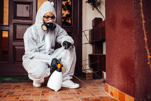 Reliable Ant Control contractor in Chapel Hill, NC by Show Me Pest Control